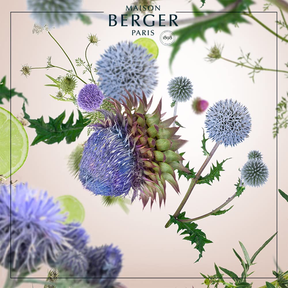 Amazon.com: Lampe Berger Scented Bouquet - Land - Moss-Green - 2.5